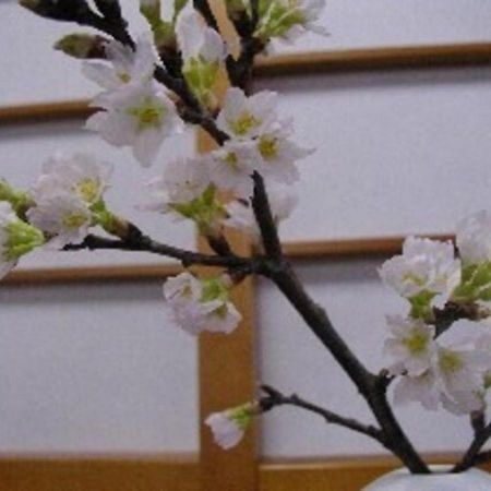 Wakaba Ryokan / Vacation Stay 29370 Sakata Eksteriør bilde